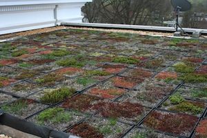 chapel valley landscape company green roofs montgomery county