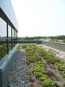 green roofs washington dc