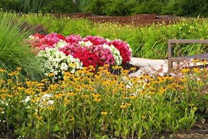 Walkway Beautification in Northern Virginia Means Flower Power