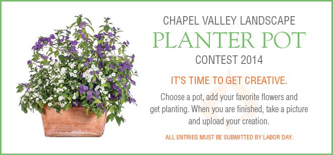 Chapel Valley Landscape Planter Pot Contest