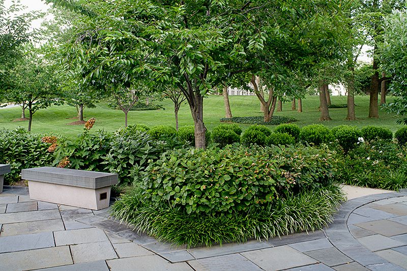 Commercial Landscaping in Atlanta is Best Left to Smart, Seasoned Pros | Atlanta, GA