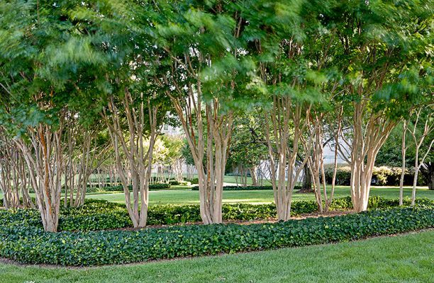 get routine commercial landscaping in atlanta to maintain a beautiful landscape atlanta ga