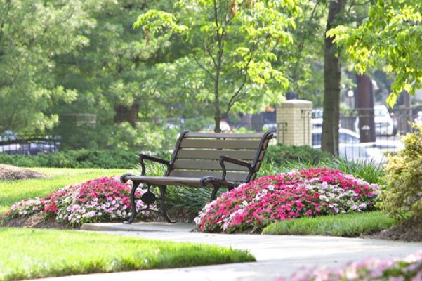 Commercial Landscaping Service, Best Landscaping Companies In Atlanta