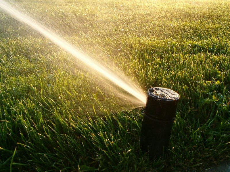 4 Ways to Boost Your Water Management