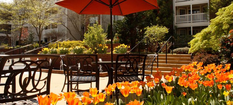 Orange flowers next to a table shaded by an umbrella