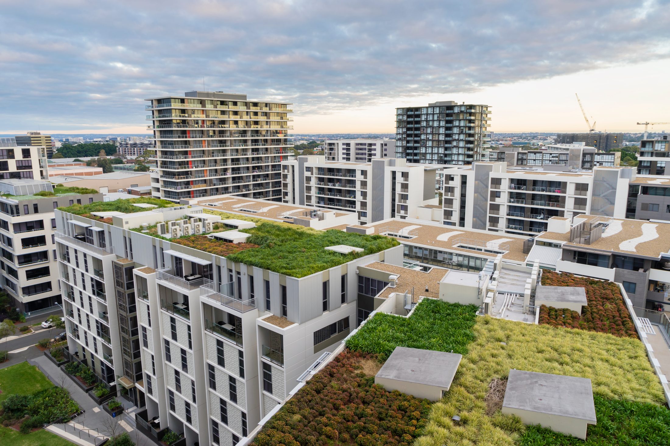 Benefits of a Green Roof