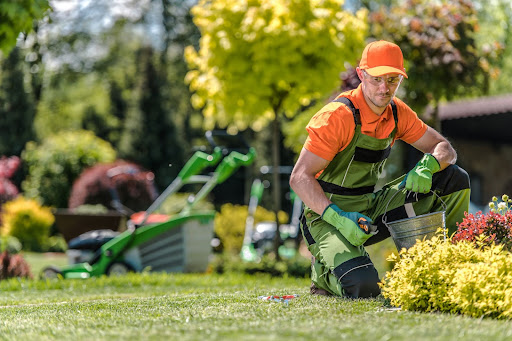Preparing for Spring: A Comprehensive Guide for Property Managers to Reinvigorate Your Landscape